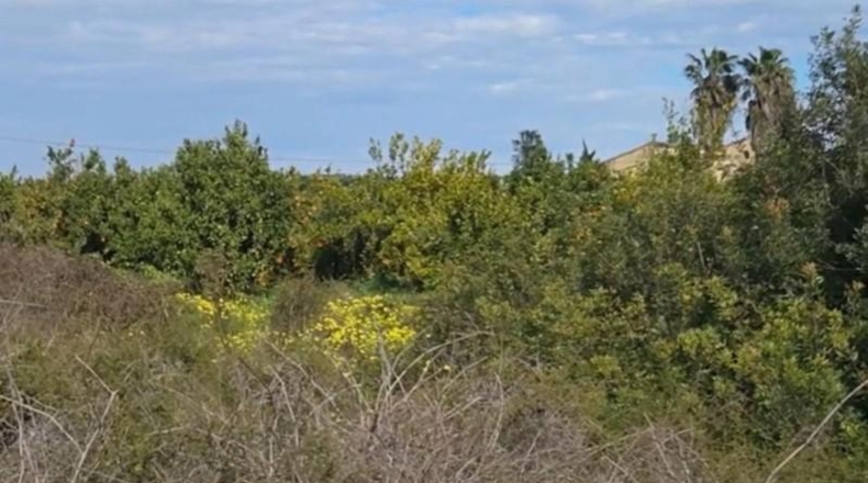 Valencia - Gandía - 6624m2