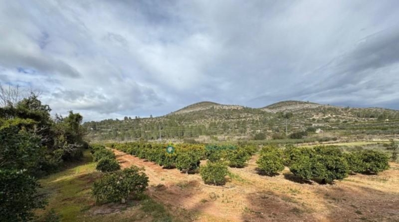 Valencia - Benigánim - 12165m2