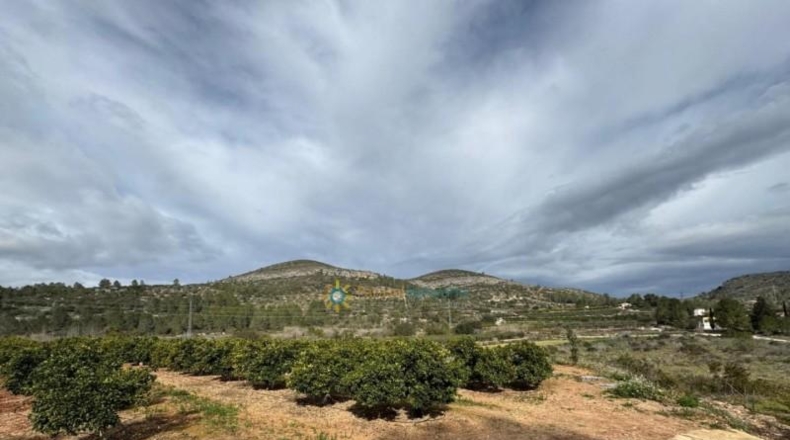 Valencia - Benigánim - 12165m2