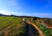Terreno no urbanizable en venta en la España, Gandesa, ref: TR415883 foto