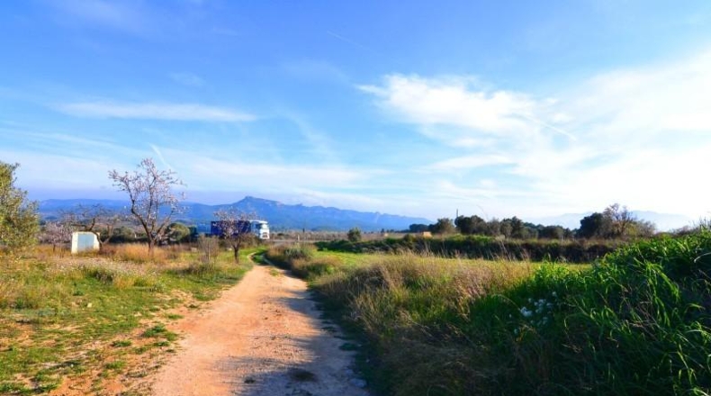 Tarragona - Gandesa - 27137m2