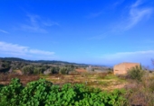 Terreno no urbanizable en venta en la España, Gandesa, ref: TR415883 foto