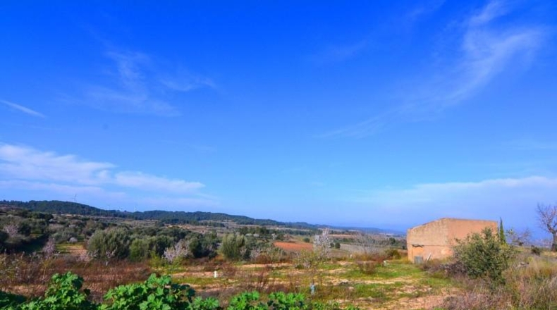 Tarragona - Gandesa - 27137m2