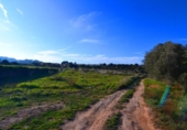 Terreno no urbanizable en venta en la España, Gandesa, ref: TR415883 foto