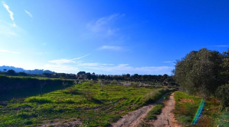Tarragona - Gandesa - 27137m2