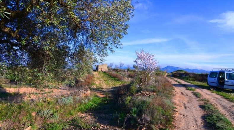 Tarragona - Gandesa - 27137m2