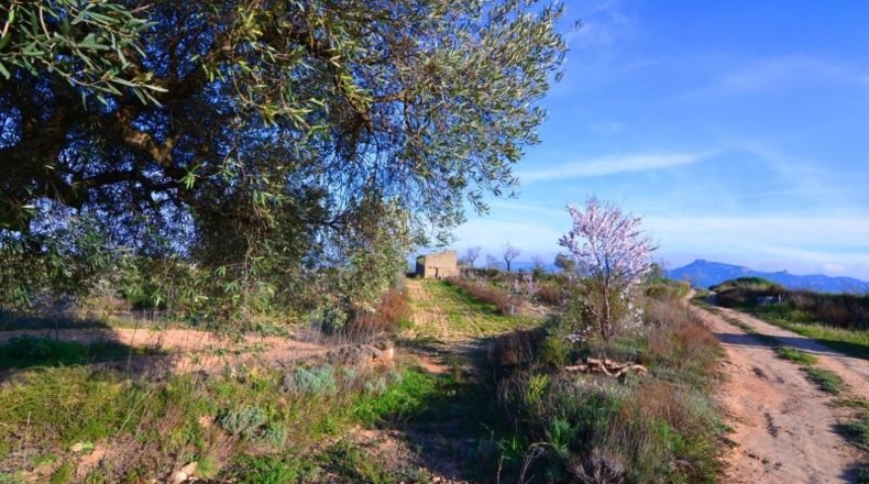 Tarragona - Gandesa - 27137m2
