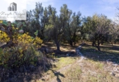 Terreno no urbanizable en venta en la España, Talará, ref: TR415884 foto