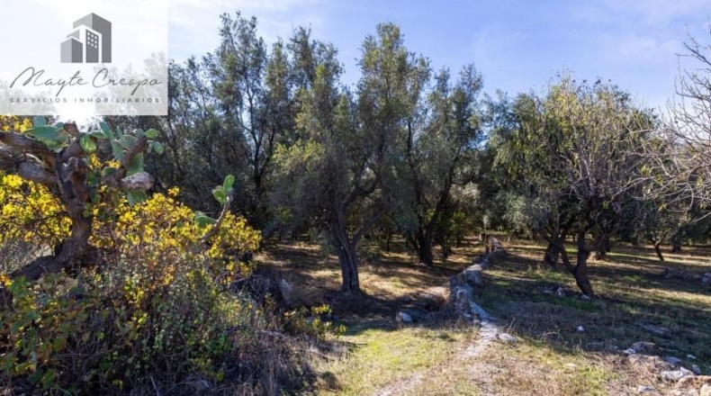 Granada - Talará - 1500m2