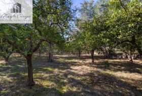 Talará 1500&nbsp;m²