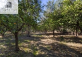 Terreno no urbanizable en venta en la España, Talará, ref: TR415884 foto