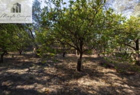 Talará 1500&nbsp;m²
