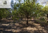 Terreno no urbanizable en venta en la España, Talará, ref: TR415884 foto