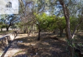 Terreno no urbanizable en venta en la España, Talará, ref: TR415884 foto