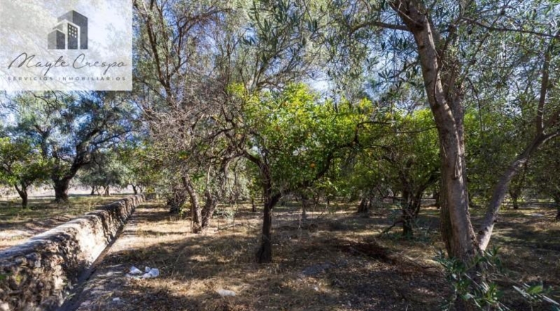 Granada - Talará - 1500m2
