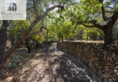 Terreno no urbanizable en venta en la España, Talará, ref: TR415884 foto