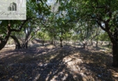 Terreno no urbanizable en venta en la España, Talará, ref: TR415884 foto