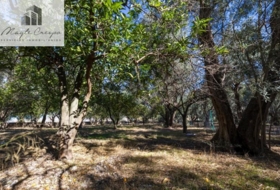 Talará 1500&nbsp;m²