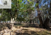 Terreno no urbanizable en venta en la España, Talará, ref: TR415884 foto