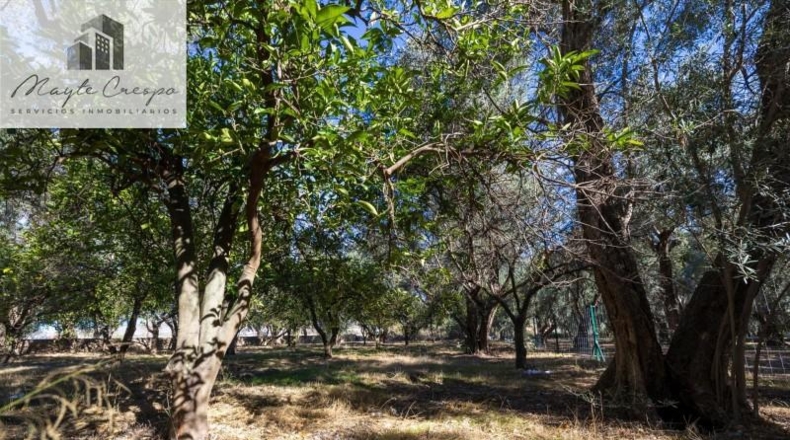 Granada - Talará - 1500m2
