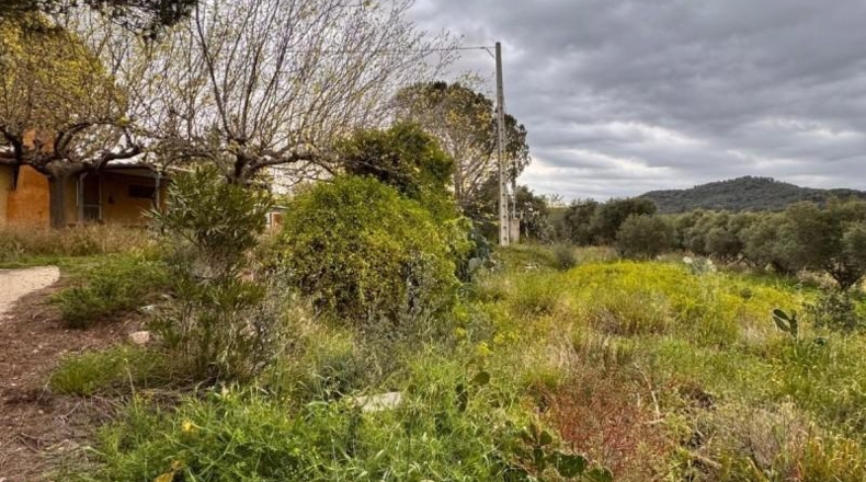 Tarragona - Alforja - 8390m2
