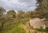 Terreno no urbanizable en venta en la España, Alforja, ref: TR241024 foto