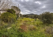 Terreno no urbanizable en venta en la España, Alforja, ref: TR241024 foto