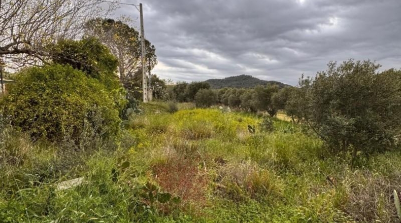 Tarragona - Alforja - 8390m2