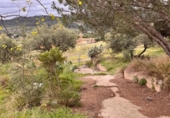 Terreno no urbanizable en venta en la España, Alforja, ref: TR241024 foto