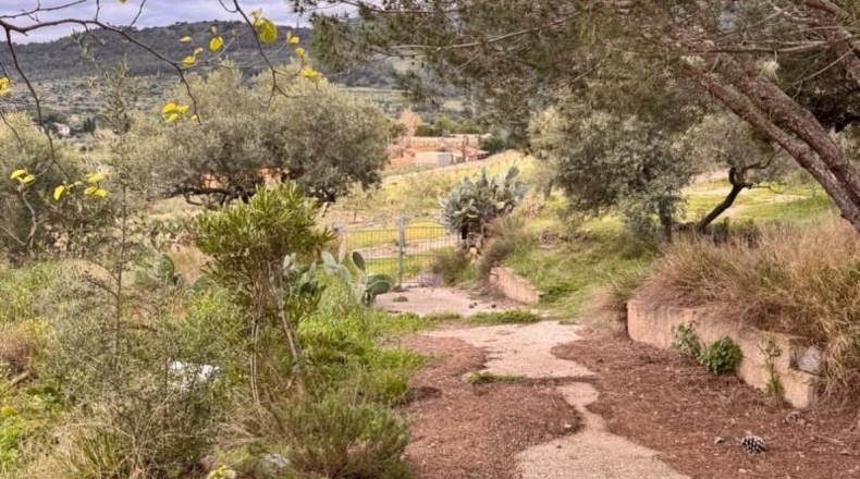 Tarragona - Alforja - 8390m2