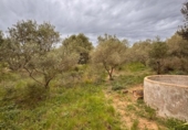 Terreno no urbanizable en venta en la España, Alforja, ref: TR241024 foto