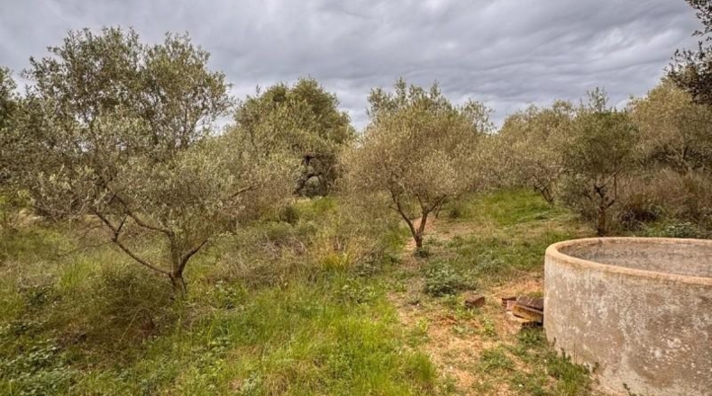 Tarragona - Alforja - 8390m2