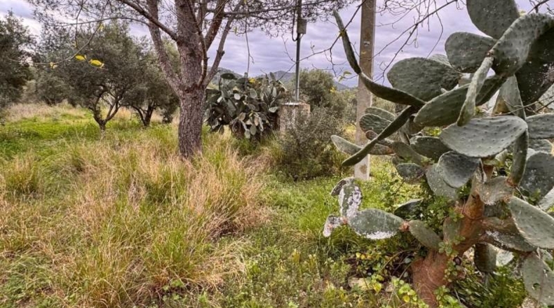 Tarragona - Alforja - 8390m2