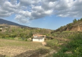 Chalet independiente con terreno en venta en la España, Restábal, ref: TR415894 foto