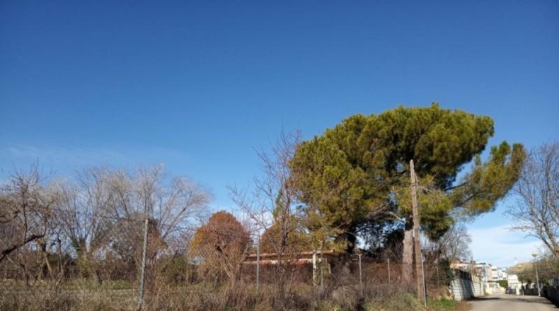 Huesca - Siétamo - 780m2