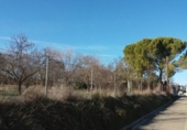 Suelo urbano en venta en la España, Siétamo, ref: TR415897 foto