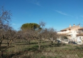 Suelo urbano en venta en la España, Siétamo, ref: TR415897 foto