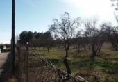 Suelo urbano en venta en la España, Siétamo, ref: TR415897 foto