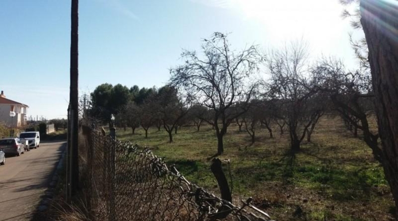 Huesca - Siétamo - 780m2