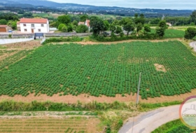 San Roque 1889&nbsp;m² 