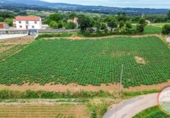Sòl urbà en venda a la España, San Roque, ref.: TR415900 foto