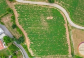 Sòl urbà en venda a la España, San Roque, ref.: TR415900 foto