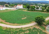 Sòl urbà en venda a la España, San Roque, ref.: TR415900 foto
