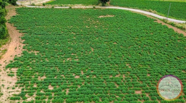 La Coruna - San Roque - 1889m2