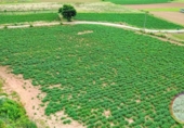 Sòl urbà en venda a la España, San Roque, ref.: TR415900 foto