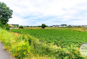 San Roque 1889&nbsp;m² 