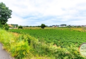 Sòl urbà en venda a la España, San Roque, ref.: TR415900 foto