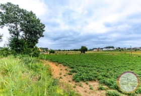 San Roque 1889&nbsp;m² 