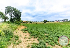 San Roque 1889&nbsp;m² 