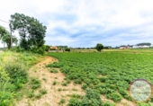 Sòl urbà en venda a la España, San Roque, ref.: TR415900 foto